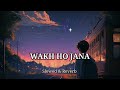 Wakh HO Jana [slowed&reverb] lo-fi version