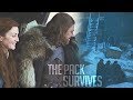 (GoT) House Stark || The Pack Survives