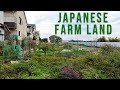 Japanese Farm Land Walk in Kamagaya, Chiba! | JAPAN LIVE STREAMS 2024