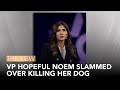 VP Hopeful Noem Slammed Over Dog Killing | The View