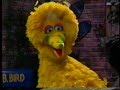 Sesame Street - Big Bird Has The Birdy Pox