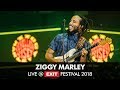 EXIT 2018 | Ziggy Marley Live @ Main Stage FULL SHOW