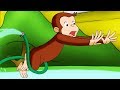 Curious George 🐵1 Hour Compilation 🐵Full Episode 🐵 HD 🐵 Cartoons For Children