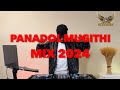 PANADOL MUGITHI MIX 2024 - CHICHI THE DJ, SALIM JUNIOR, MIGHTY SALIM, JB, Rugwiti Wa Njeri, Ndichu