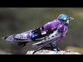 AMAZING ROBOTIC ANIMALS YOU MUST SEE!