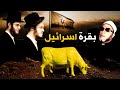 قصة بقرة بني اسرائيل - وحقيقة اليهود وسر عقدتهم مع البقرة من اعجب القصص مع الشيخ كشك