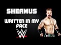 WWE | Sheamus 30 Minutes Entrance Theme Song | "Written In My Face'"