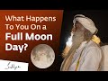 What Happens To You On a Full Moon Day?
