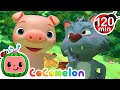 The Big Bad Wolf! Run Three Little Pigs! | Animals for Kids | Funny Cartoons | Learn about Animals