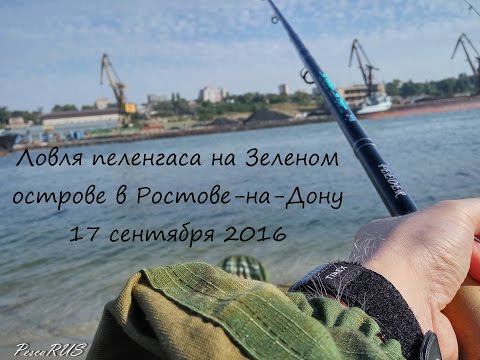 время ловли пеленгаса на дону время ловли пеленгаса на дону