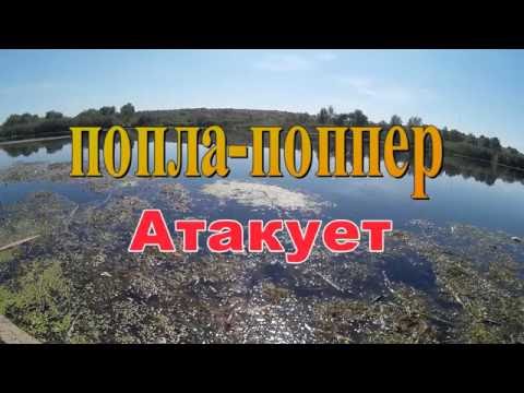 ловля красноперки осенью ловля красноперки осенью