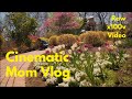 What made me feel better 🌷 Cinematic vlog 📷 Life of a mom & wife on Fujifilm x100v 브이로그