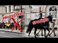PROTESTERS, But sadly, horse SPOOKED AGAIN!😡🤬😳🥺