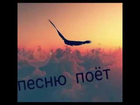 скачать новинки даргинские песни
