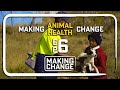 Animal Vaccination and Safety | Making ANIMAL HEALTH Change | EP 6 – Protect The Ones You Love?