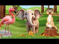 Happy Animal Moments: Flamingo, Puma, Goat, Hornbill,... | Animal Sounds