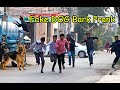 Fake Dog Bark Prank | LahoriFied