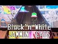 【CHUNITHM】Black'n White JAMMIN' CATS MASTER 12 AJC 手元動画【出張運指】