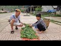 Nam - poor boy: Harvesting sweet pumpkins to sell. Water vegetables and clean around the house