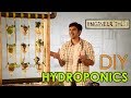 Hydroponics Indoor Gardening Without Soil Smart New Learning Tricks Engineer This