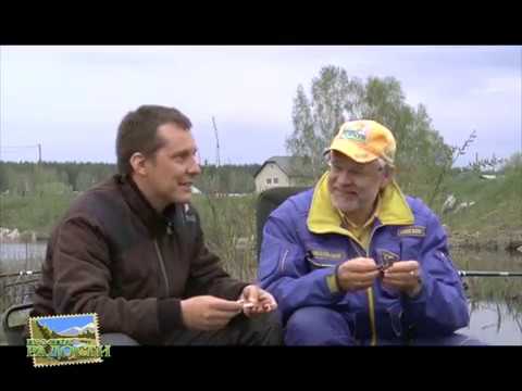 рыбалка на карася на болоте рыбалка на карася на болоте