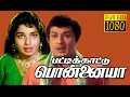 Pattikattu Ponnaiya | M.G.R,Jayalalitha,M.N.Nambiar | Tamil Superhit Movie HD