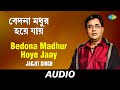 Bedona Madhur Hoye Jaay | Bangla Ganey Parampara | Jagjit Singh | Audio