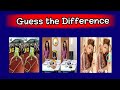 Spot the difference | Only genius can find 3 differences | Animation Puzzle #quiz #games #fyp #fypシ