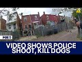 DC police release body-worn camera video of officer shooting, killing 2 dogs in Petworth