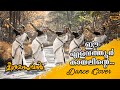 ELAVATHOOR KAYALINTE DANCE COVER | Meeshamadhavan | Vidyasagar | P Madhuri | Gireesh Puthencheri