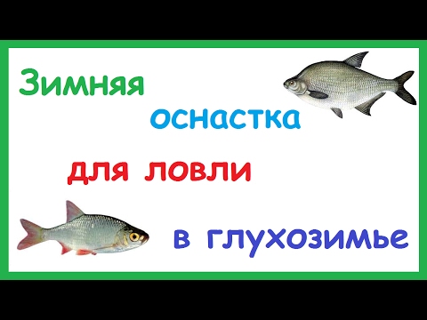 ловить плотву в глухозимье ловить плотву в глухозимье