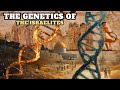 THE MYSTERY OF ANCIENT ISRAELITE DNA
