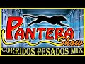 Grupo Pantera Show - Corridos Chingónes Mix 🎵