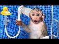 Monkey Baby Bon Bon Bathing In The Bathroom With Eating Fruit With Ducklings Side Swimming Pool