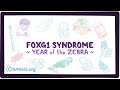 FOXG1 syndrome (Year of the Zebra)