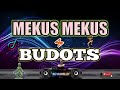 MEKUS MEKUS x HANDS-UP| BUDOTS BUDOTS NONSTOP DISCO REMIX 2023| DjCarlo On The Mix