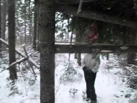 приманка на куницу с медом приманка для куницу со медом
