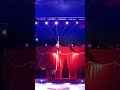 Divertirsi in Circo 🎪 🎪 🎪  grande Acrobazie #circo #divertido #divertimento #youtube