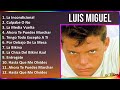 Luis Miguel 2024 MIX Las Mejores Canciones - La Incondicional, Culpabe O No, La Media Vuelta, Ah...