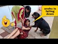 Anshu is falling down because of my dog || funny dog videos.