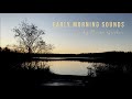 Early Morning Sounds - Birds Singing