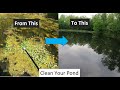 How to clean up your pond from algae and unwanted vegetation.