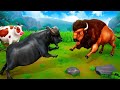 Big Fat Cow Rescue: Angry Bison Attacks Cow | Buffalo to Save Cows | Animal Rescue 2024 Cartoons