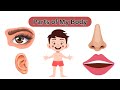 Learn Parts of My Body for Toddlers | English Vocabulary | Human Body Parts #1
