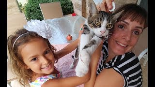 KEDİCİKLERİN İLAÇ VAKTİ, Dış parazit için ponçik, tarçın ve pamuk için damla yaptık.
