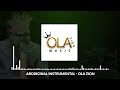Ola Zion - Aboriginal Instrumental Roots Reggae Instrumental (Visualiser)