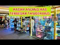 Grebek Pasar Anjing Ras Terbesar Di Tangerang - PAWTASTIC Living World Alam Sutera