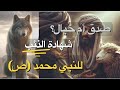 قصة الراعي والذئب  تؤكد صدق نبوة  محمد ﷺ