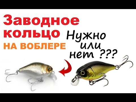 заводное кольцо для рыбалки для чего нужен заводное кольцо для рыбалки для чего нужен