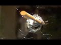 Hammer through Mirror at 120,000fps - The Slow Mo Guys